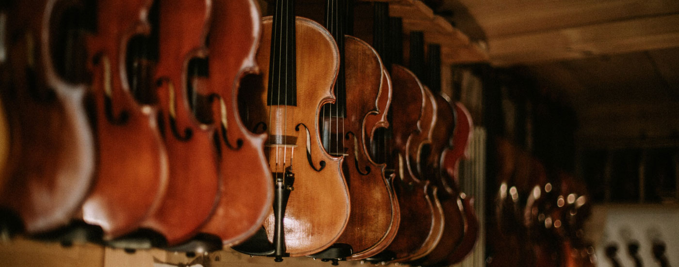 foto violini